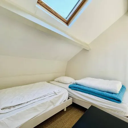 Vakantiehuis Maison Arcachon: Proche Centre, Plage Et Parc. Terrasse Ensoleillee, 2 Mezzanines, Animaux Acceptes. - Fr-1-433-101 *